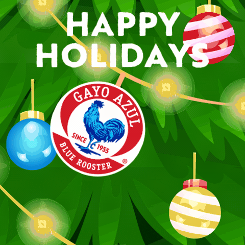 Merry Christmas GIF by Gayo Azul