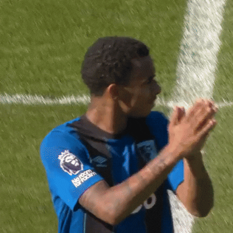 Celebrate Premier League GIF by AFC Bournemouth