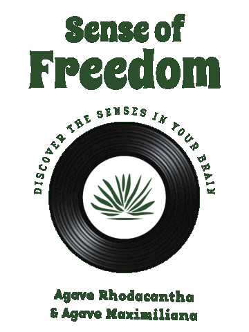 Mexico Socializing Sticker by Santa Sabia Media