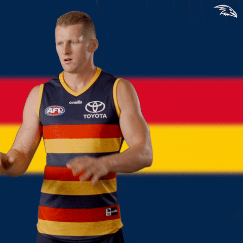 Ball Rob GIF by Adelaide Crows