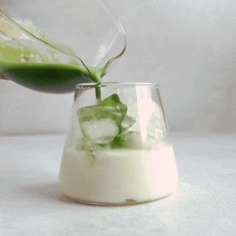 Pouring Green Tea GIF by Craft Tea Fox