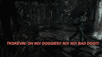 tkdkevin087 resident evil jill valentine resident evil remake GIF