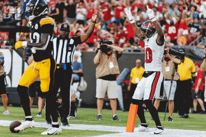 Touchdown Celebration GIF by Tampa Bay Buccaneers
