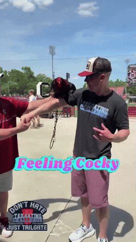 Feeling Cocky South Carolina GIF by Tailgating Challenge