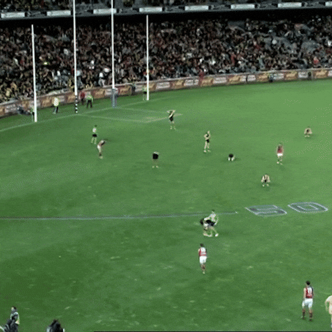 GIF by Essendon FC