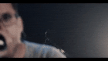 Birdshot GIF