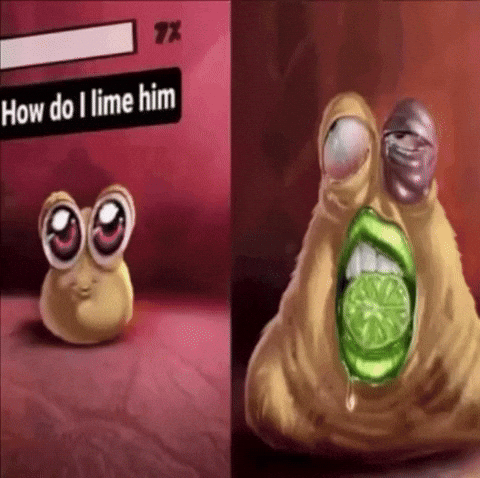 Lime GIF