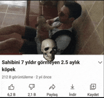 Sahibini 7 Yıldır Görmeyen 25 Aylık Köpek GIF