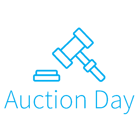 Auction Day Sticker by HarcourtsNZ
