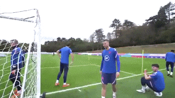 Three Lions Rice GIF by England