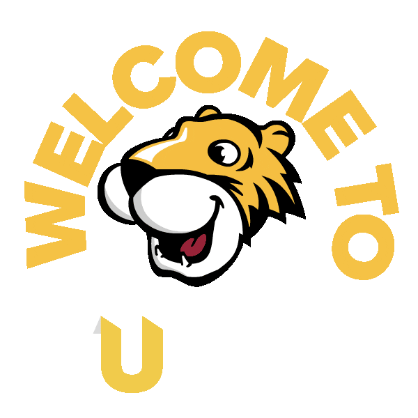 College Move In Sticker by Towson University