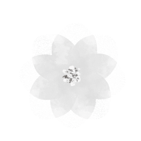 Camelia Sticker