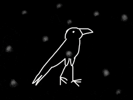 Surprised Black Bird GIF by Barbara Pozzi