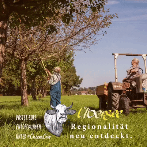 Tourist Info Übersee GIF