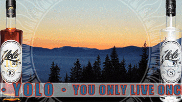You Only Live Once Sun GIF by Yolo Rum