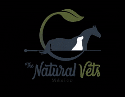 thenaturalvetsmx acupuntura tnv naturalvets natuvets thenaturalvets homeopatia veterinaria fisioterapia GIF