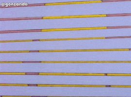 Homero Simpson Simpsons GIF