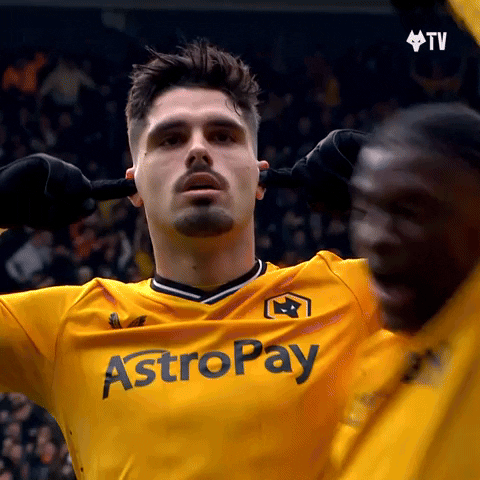 Cant Hear Premier League GIF by Wolves