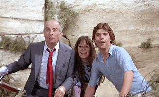 Louis De Funes GIF