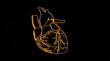 Heart Neon GIF by Galantis