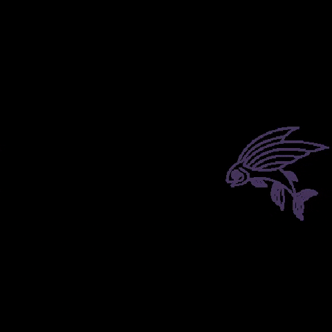 Vanfall Gin GIF