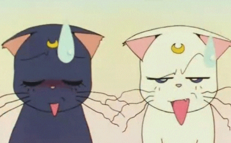 Sailor Moon Gifs Primo Gif Latest Animated Gifs