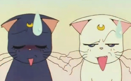 Sailor Moon Wtf GIF , Find \u0026 Share on GIPHY