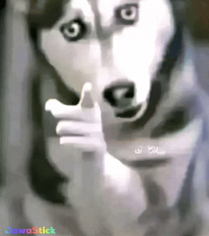 Dog Point GIF