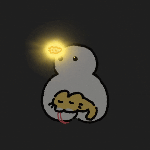Cat Kitty GIF