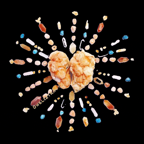 Dr. Elizabeth Trattner GIF