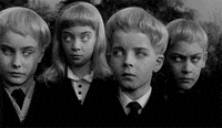village of the damned wolf rilla GIF by Maudit