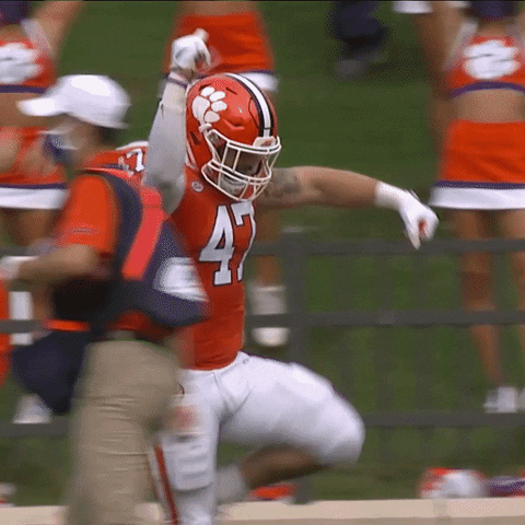 Happy Tigers GIF by ACC Network