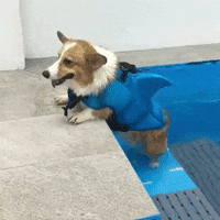 200.gif?cid=fc005b0839ead864b67d4387fddb293c7dfdff7dc9e8f045&rid=200.gif&ct=g