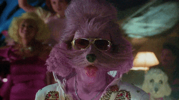 Dog Costume GIF by Allison Ponthier