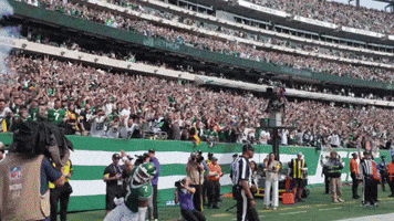 Ny Jets Football GIF by New York Jets