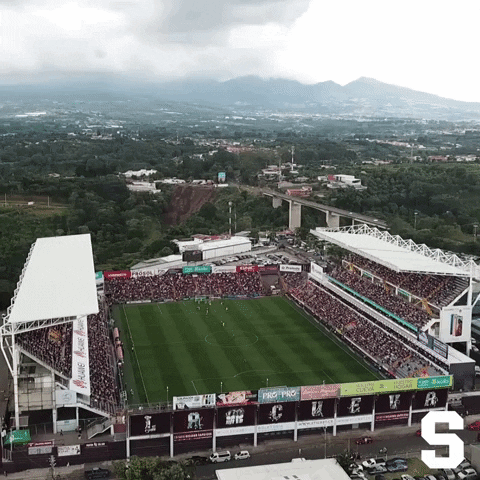 costa rica stadium GIF by Deportivo Saprissa