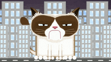 grumpy cat GIF by Channel Frederator