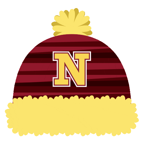 Winter Hat Sticker by NorthernStateU