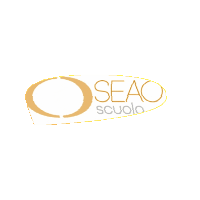 Seao Scuola Sticker