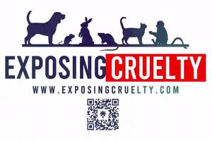 ExposingCruelty GIF