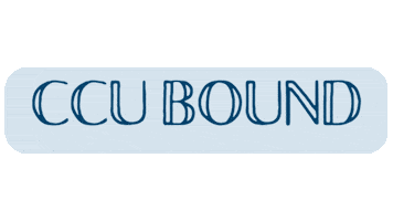 University Colorado Sticker by myccu