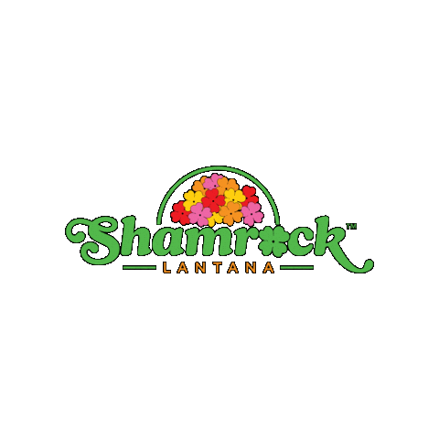 Shamrock Lantana Sticker by Ball Horticultural Co