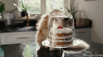 hungry cake GIF