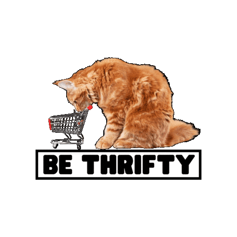 Meow Thrift Sticker by MeowCharityThriftShopSouth
