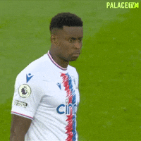 Angry Premier League GIF by Crystal Palace Football Club
