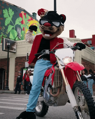 Football College GIF by Bearcat