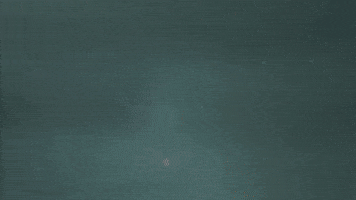 Martin Luther Christ GIF