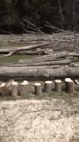 Wood Chopping GIF