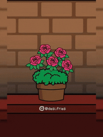 Flowers GIF