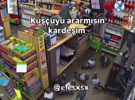 Dance Kus GIF